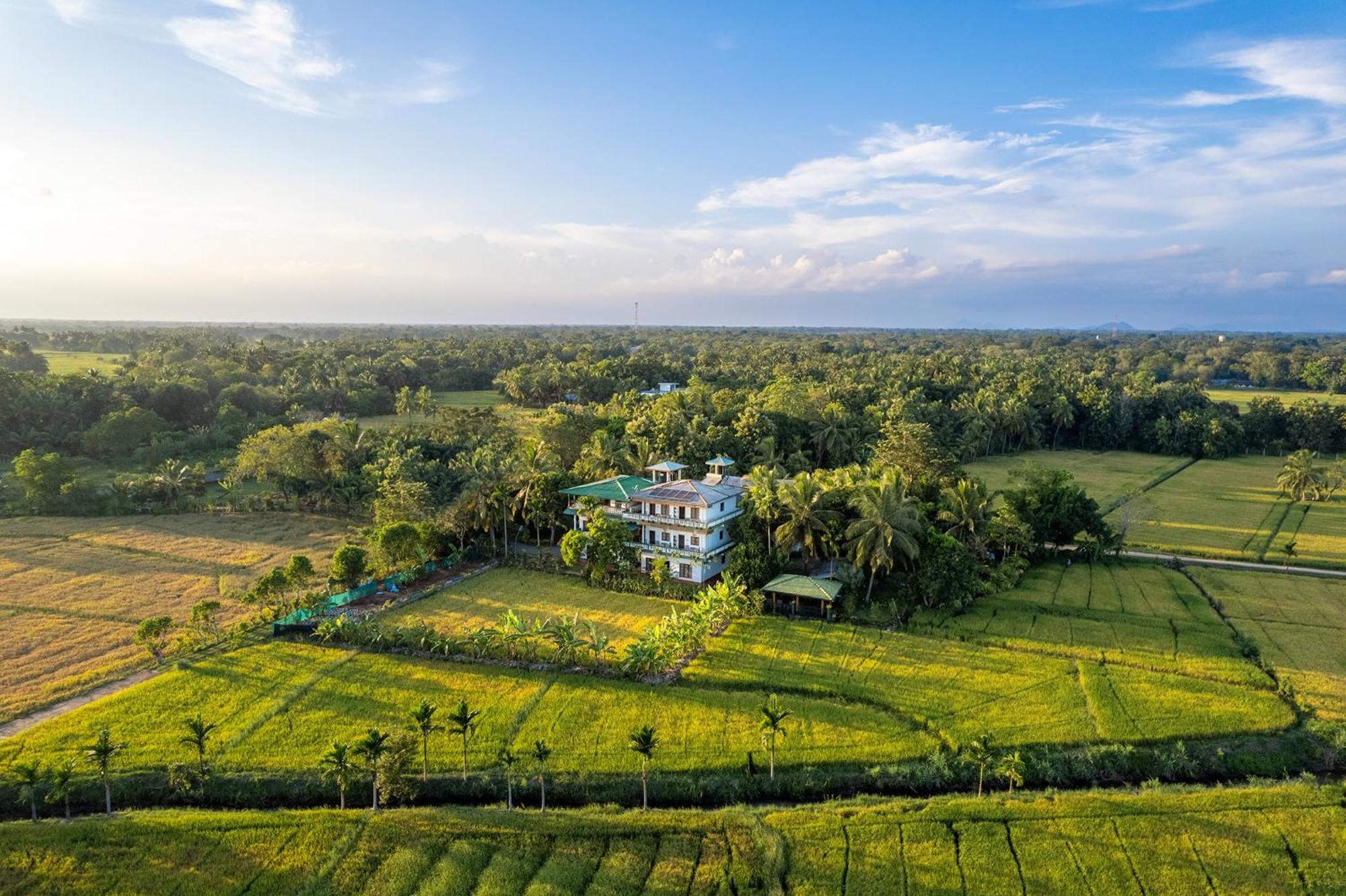 Mailagama Cinnamon Residence Kataragama Exterior foto